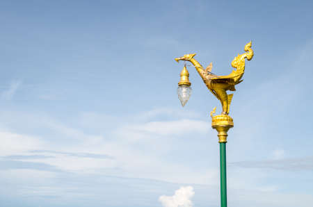 Golden swan lamp on electricity in thailandの写真素材