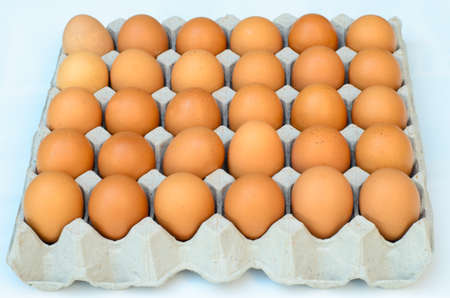 the brown eggs in egg box on white backgroundの写真素材
