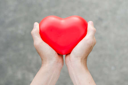 Red heart in man handsの写真素材