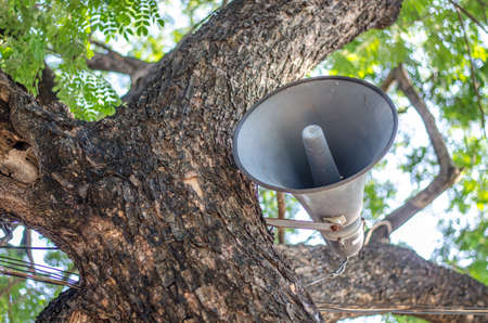 old loudspeaker hanging on a treeの写真素材