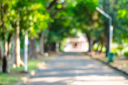 Defocused background of summer park with walking people in thailandの写真素材