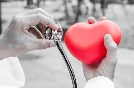 Doctor with stethoscope examining red heartの写真素材