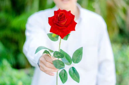 Man giving a red rosesの写真素材