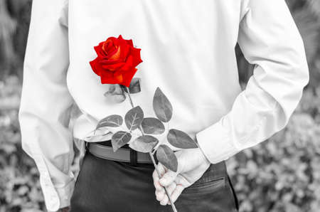 Photo of man holding a red rose behind his back  for his womanの写真素材