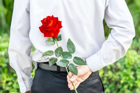 Photo of man holding a red rose behind his back  for his womanの写真素材