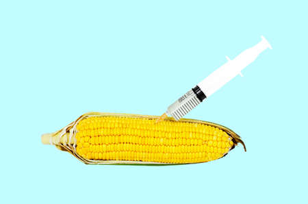 Syringe injecting liquid into corn against a white backgroundの写真素材