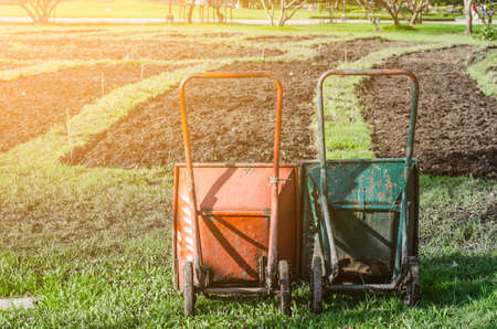 An image of two wheelbarrow on the grass in the gardenの写真素材