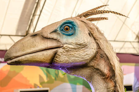 gigantoraptor dinosaurの写真素材