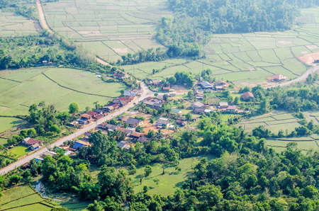 Bird's Eye View of the Meadows and cornfield and villageの写真素材