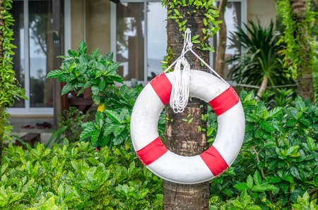 swim ring (life buoy) for lifesaver on the side swimming poolの写真素材