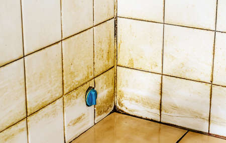mold growing on shower tiles in bathroomの写真素材