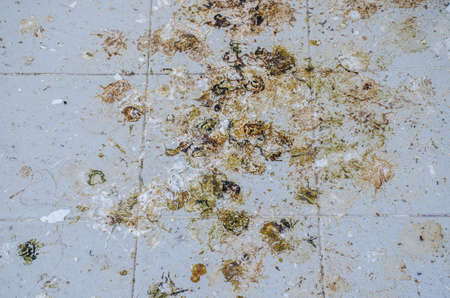 Dirty floor with lot of bird droppings, dirty place conceptの写真素材