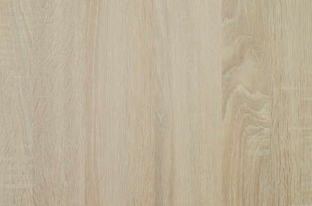 High resolution picture of natural wood background and patternの写真素材