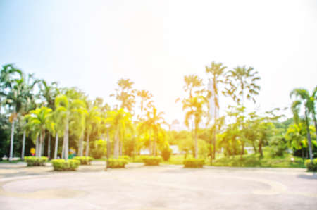 defocused bokeh blur background of garden with blossoming trees in sunny day, backdrop, summer timeの写真素材