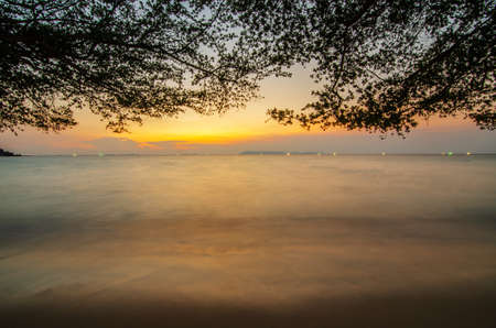 Sunset Beach with tree and beautiful sky landscape. Travel, Tourism, vacation concept background....