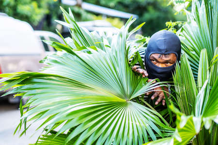 The robber are hiding behind the bushes In order to plan a robbery in the rich villageの写真素材