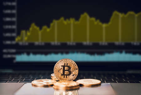 A golden bitcoin is place on the keyboard in front of a screen of stock or cryptocurrency market candles or charts or graphs with a laptop, cryptocurrency trading and investment conceptの写真素材