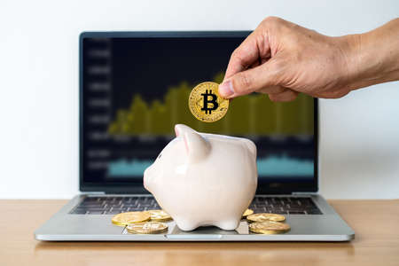 Hand businessman is putting Golden Cryptocurrency bitcoin in a cute piggy bank. Business and Finance, savings, Future finance, cryptocurrency trading and investment conceptの写真素材