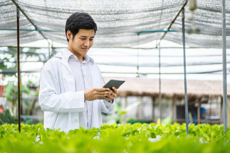 Asian scientist man examined the quality of vegetable organic salad and lettuce from the farmer's hydroponic farm, worker preparing to harvest organic plant, industry of agriculture.の写真素材