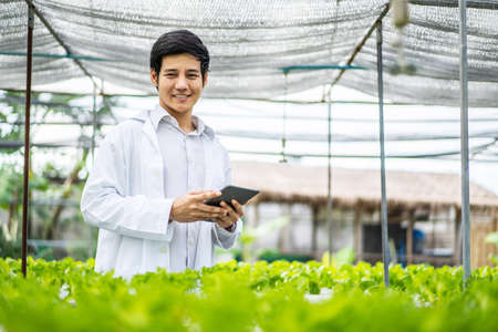 Asian scientist man examined the quality of vegetable organic salad and lettuce from the farmer's hydroponic farm, worker preparing to harvest organic plant, industry of agriculture.の写真素材