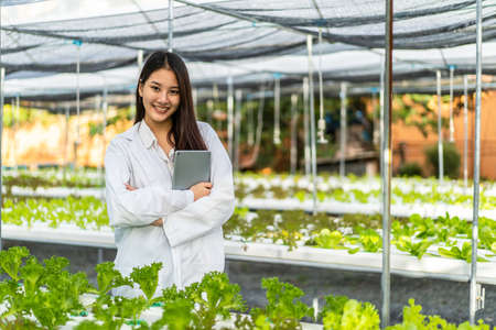 Asian farm researcher woman standing with his arms crossed takes care of vegetables growing on farm. farming is sustainable agriculture for future food.の写真素材