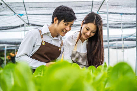 Young farmers are smiling over the care of the growing organic vegetable plots.Asian men and women looking and check quality of green vegetable hydroponic farm, Small business entrepreneur conceptの写真素材