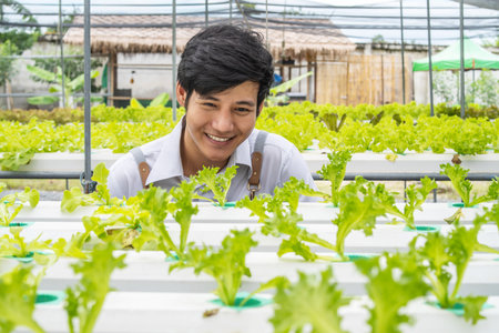 New generation of asian young men smiling with quality of organic vegetable business exploring the integrity of organic vegetables in his hydroponic farm that are ready to be delivered to customersの写真素材
