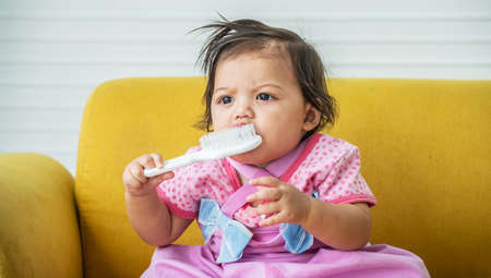 Baby girl is holding and playing a baby hairbrush and smiling. The child sitting biting the hair comb on a sofa.の写真素材