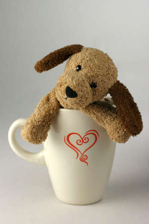 Coffee dog soft-toy in an,の写真素材