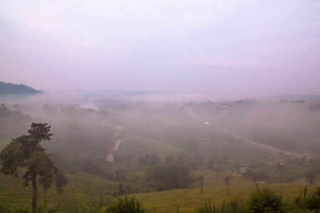 Fog in the morring timeの写真素材