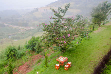 table and chair in gradenの写真素材