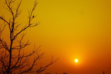 silhouette sunriseの写真素材
