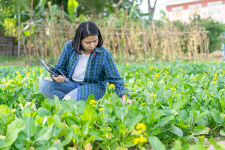 close up on asian farmer woman holding digital tablet at the organic vegetable farm to check and control quality of product to market for agricultural and technology conceptの写真素材