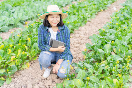close up on asian farmer woman holding digital tablet at the organic vegetable farm to check and control quality of product to market for agricultural and technology conceptの写真素材
