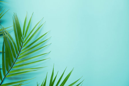 Tropical palm leaves on blue background. Flat lay, top view.