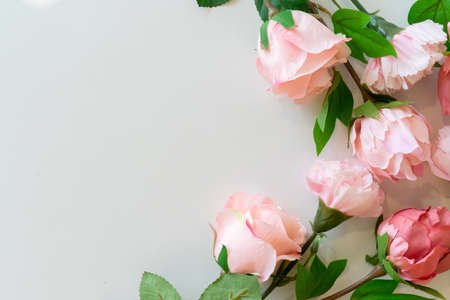 close up top view group of pastel roses on white table with copy space panoramic background for...