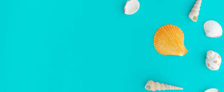 close up top view group of sea shells on teal and blue color pastel panoramic background for design of summer season and holiday collection conceptの写真素材