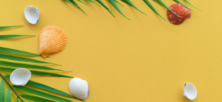 close up top view group of sea shells on yellow pastel color panoramic background with green nature tropical leaves for design of summer season and holiday collection conceptの写真素材