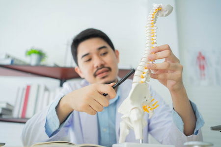 close up physical therapist hand pointing on human skeleton at low back to advise and consult to...