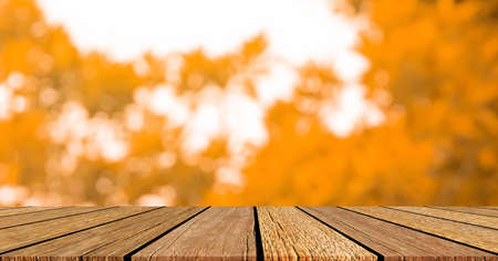abstract blurred leaves of tree in orange color nature forest with sunny and bokeh light  and wood...
