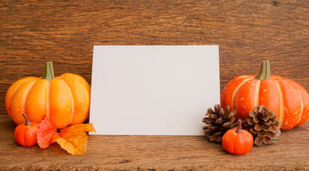 close up on white empty paper with orange pumpkins and maple leaves lay on brown retro wood tabletop background for design in thanksgiving and halloween decoration collection conceptの写真素材