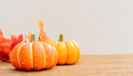 close up front view group of orange pumpkins with maple leaves lay on brown retro wood tabletop background for design in thanksgiving and halloween decoration collection conceptの写真素材