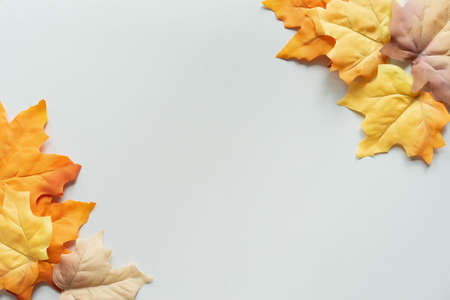 close up top view group of orange maple leaves lay on white background for design in thanksgiving and halloween decoration collection conceptの写真素材