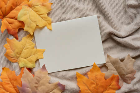 close up top view white blank paper page with group of dried orange color maple leaves on ripple fabric background texture for autumn season collection design conceptの写真素材