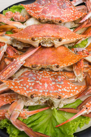 Boiled crab fresh,Steamed crabs and crab eggs with seafood spicy sauce.の写真素材