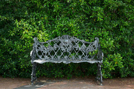 Steel bench in the park with green plant background.の写真素材