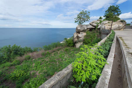 Mountain view and seascape with foreground plants on bright day.の写真素材