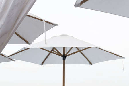 Summer day at the beach with white umbrellas.の写真素材