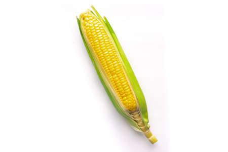 Close Up of raw corn on white background.の写真素材