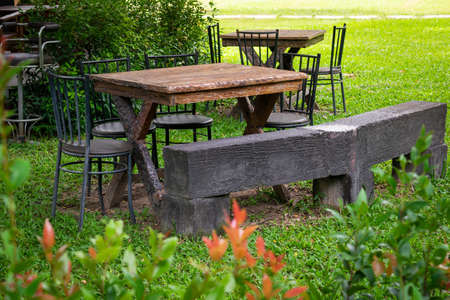 Dining table outdoor under big tree in the park with blur plant foreground.の写真素材